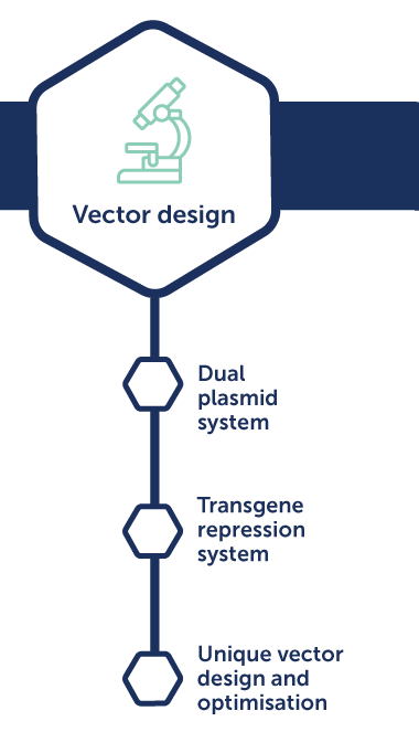 AAV Process development-Vector-design