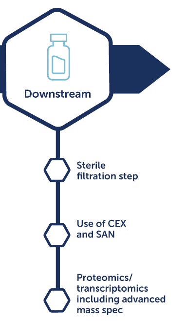 Lentivirus-Process-development-Downstream