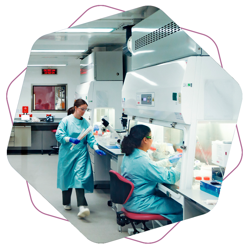 OXB-CDMO-GMP-manufacturing-1-800x800px