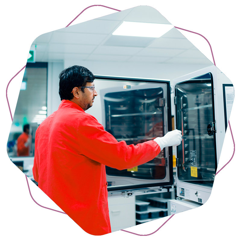 OXB-CDMO-GMP-manufacturing-2-800x800px