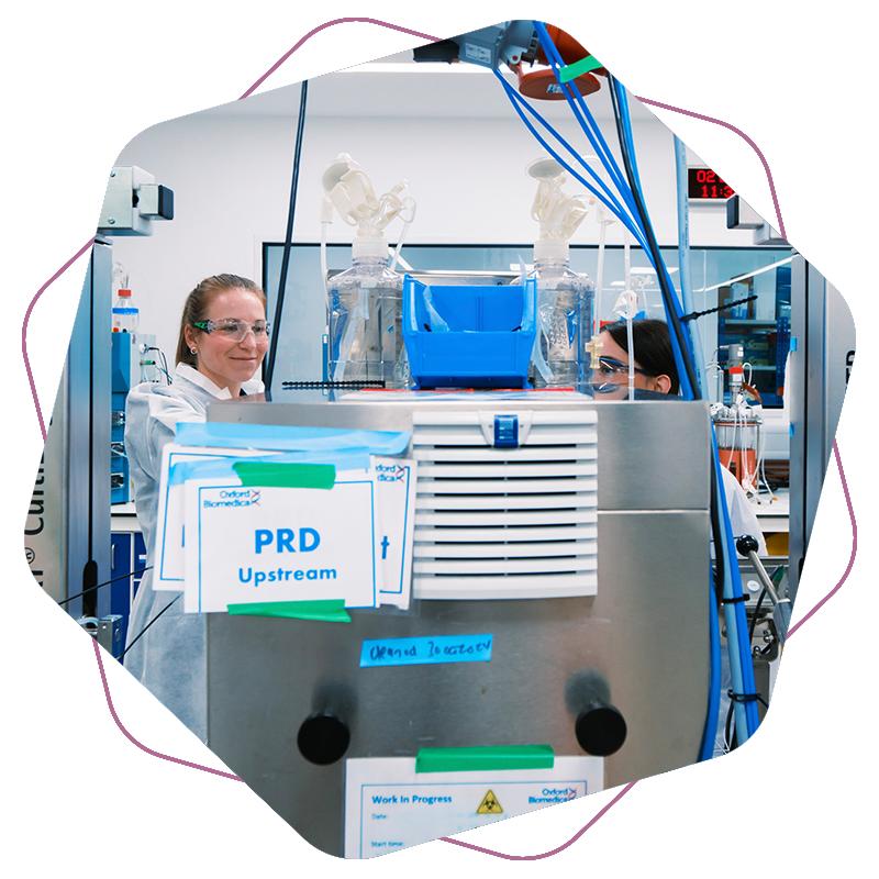 OXB-CDMO-GMP-manufacturing-3-800x800px