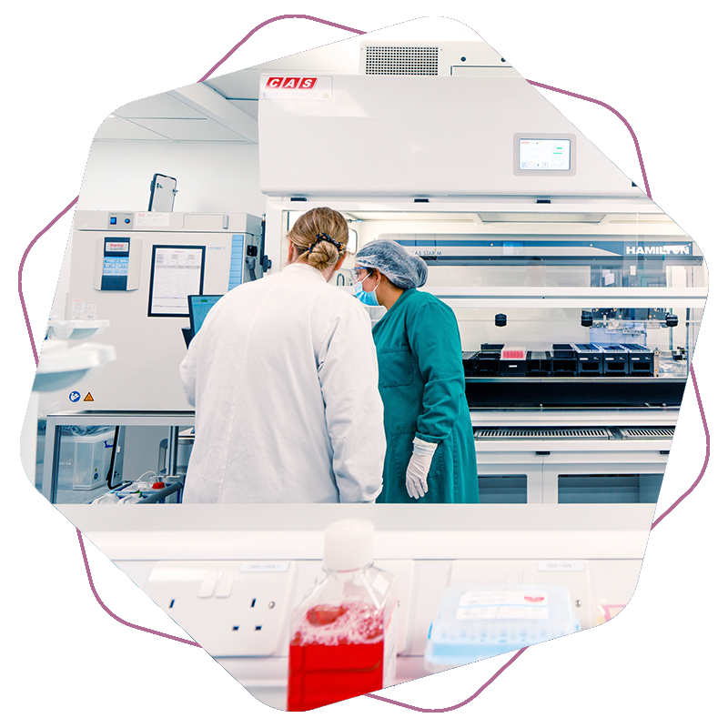 OXB-CDMO-Process-development-3-800x800px