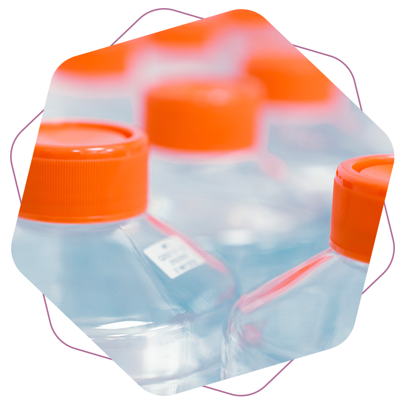 OXB-Our-proven-process-development-approach-Serum-free-800x800px