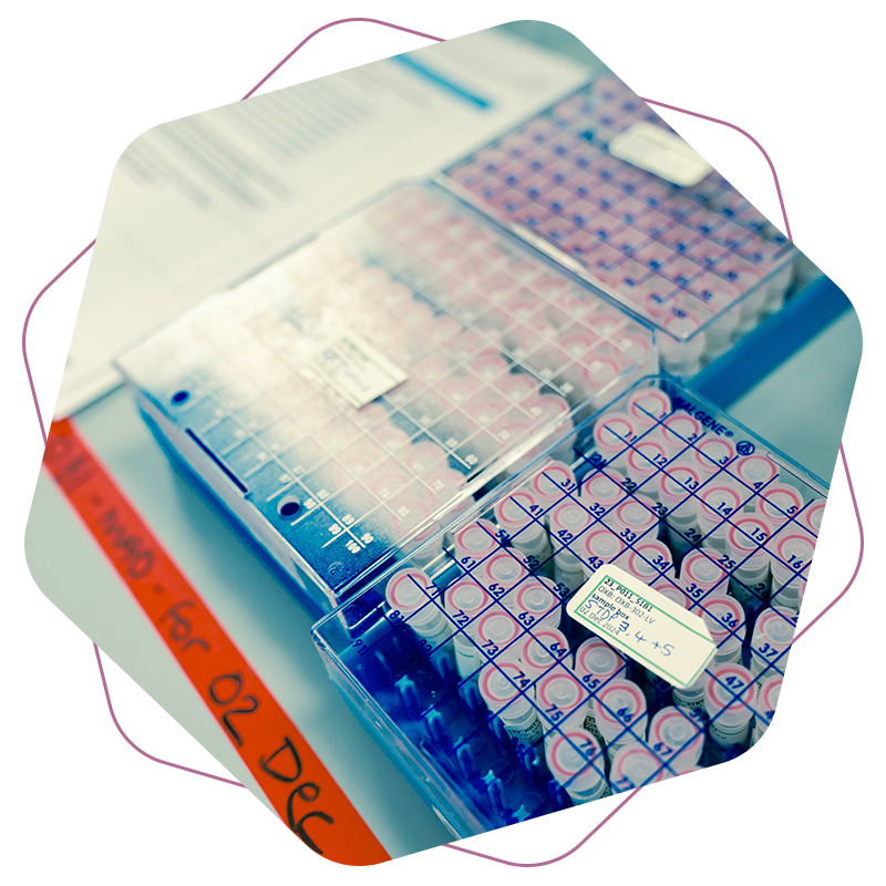 OXB-Viral vectors-Other viral vectors-3-800x800px