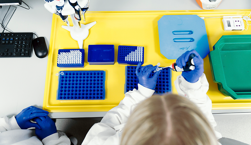 Who-VectorXcellerator-is-designed-for-832x480px